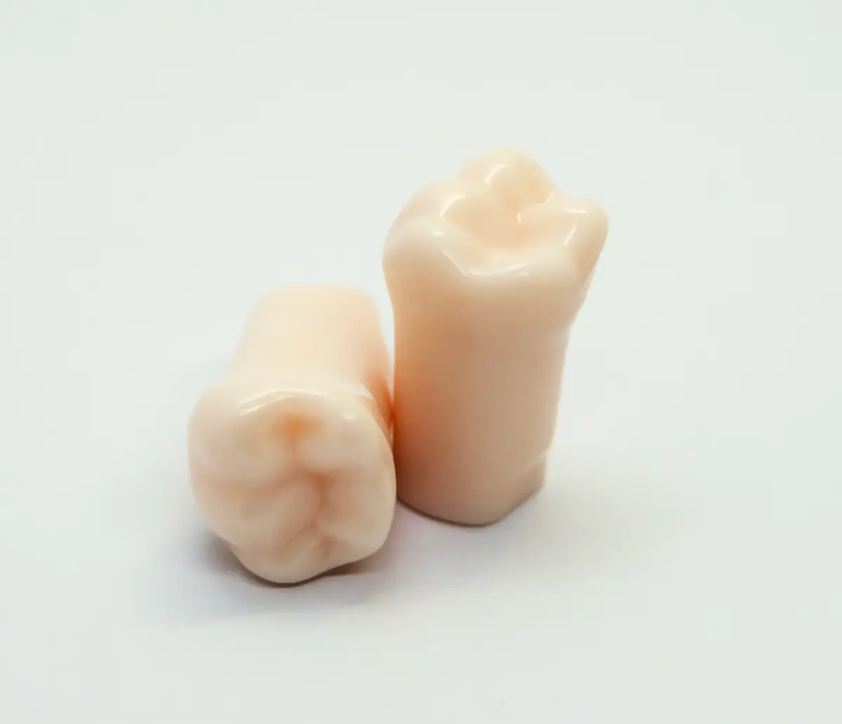 Phantom Teeth